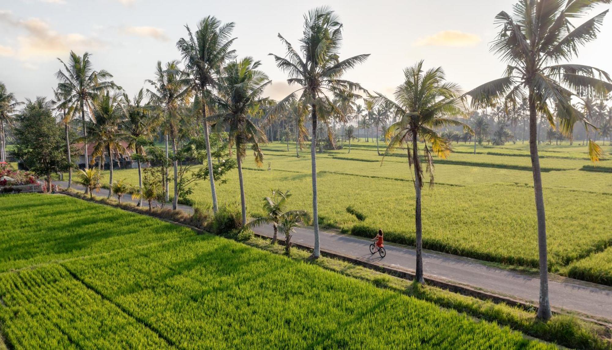 Thewakanda Resort A Pramana Experience أوبود المظهر الخارجي الصورة