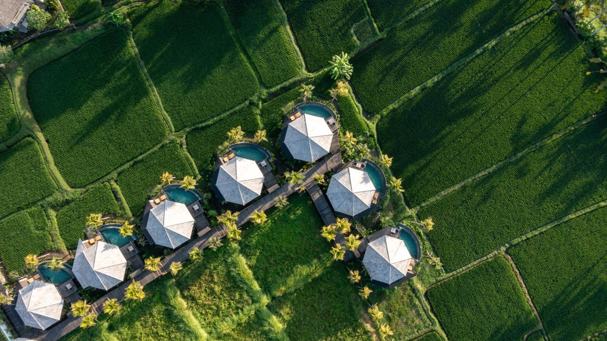 Thewakanda Resort A Pramana Experience أوبود المظهر الخارجي الصورة